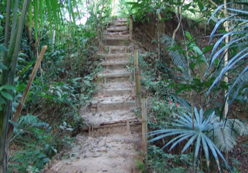 escalera del jardin botanico san francisco de moyobamba