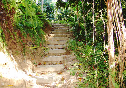 escalera del barranco san francisco