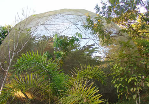 mariposario del jardin botanico de moyobamba