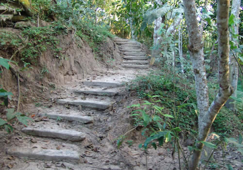 camino en el jardin botanico de moyobamba