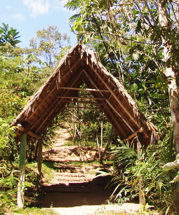 tambo dentro del jardin botanico