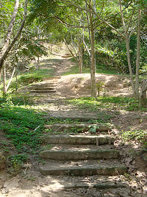 tambos jardin botanico