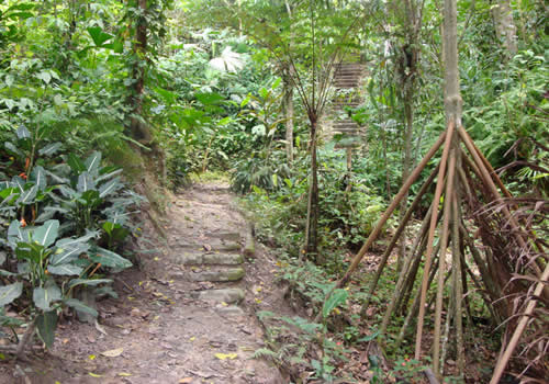 escaleras jardines botanicos
